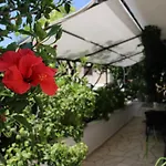 Apartments & Rooms Anita